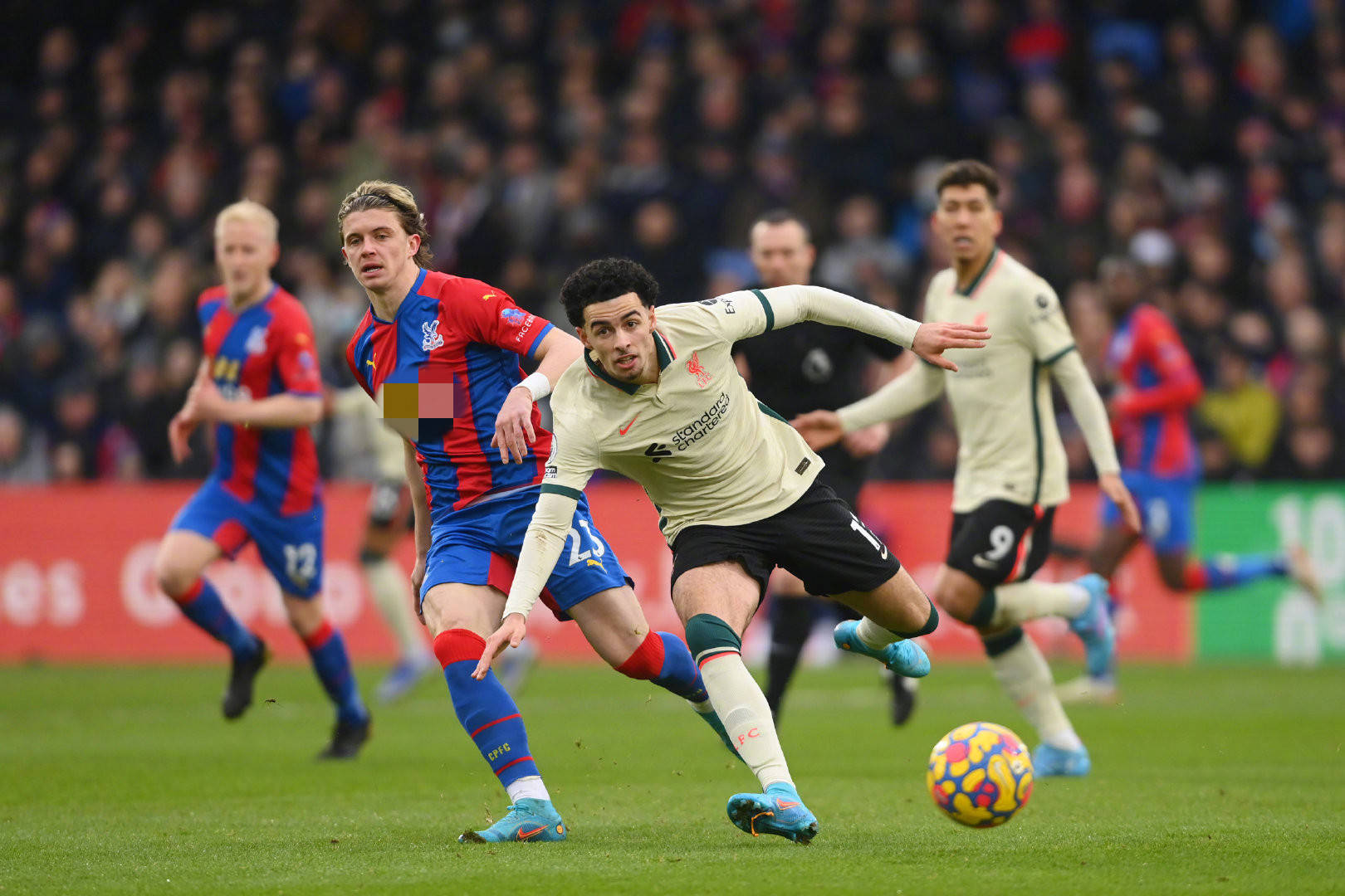 俱乐部高层 俱乐部高层